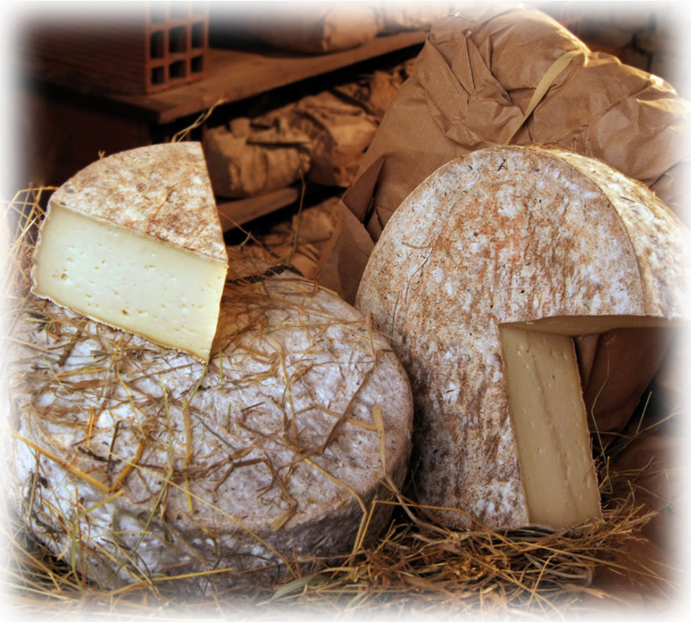 Tomme Au Foin Mundoquesos 